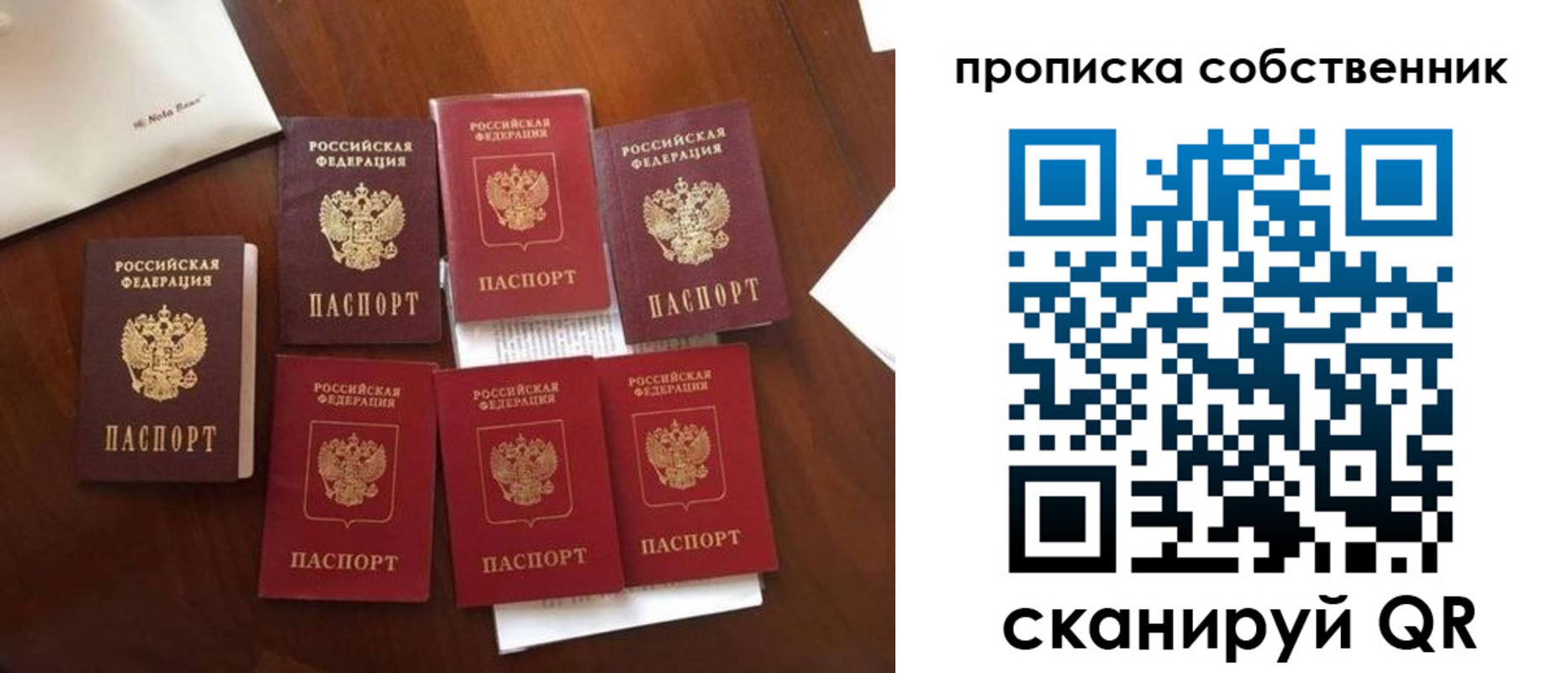 прописка для школы в Жирновске